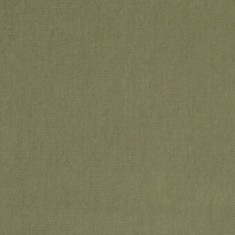 Olive-green velvet fabric texture, dense short pile, matte finish, from Borzalino’s Augusta collection – 30, smooth consistent weave.